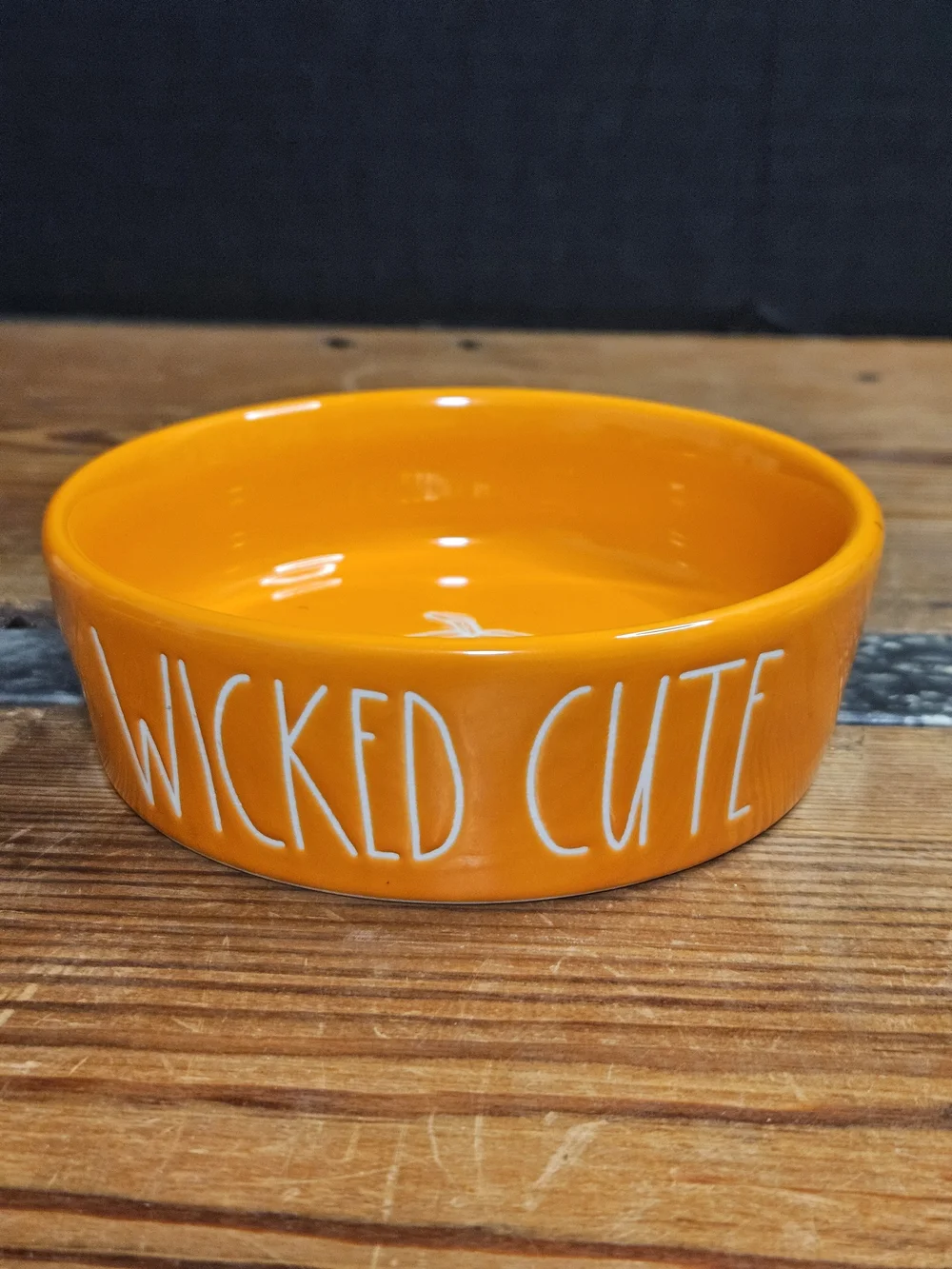 Rae Dunn Wicked Cute Orange Ceramic Pet Bowl